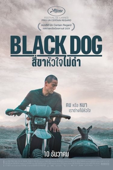 ดูหนังออนไลน์ Black Dog (2024) สี่ขาหัวใจไม่ดำ